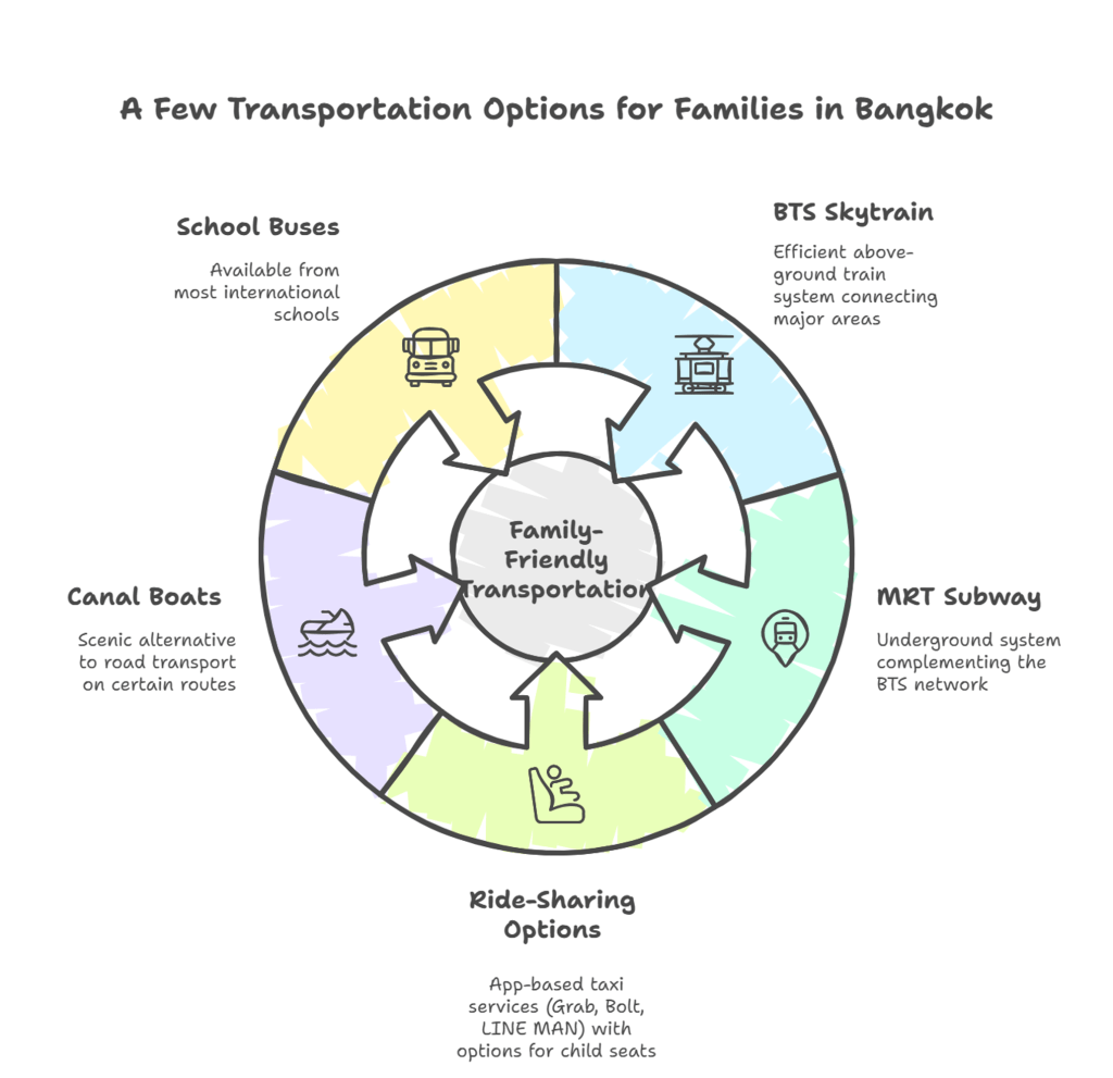Graphic showing the different public transport